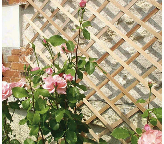 Celosía Madera Extensible 0.5x1.5m