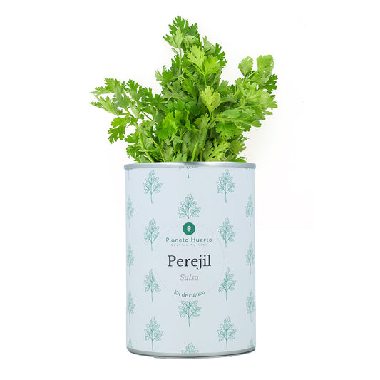 Kit de cultivo aromáticas Perejil Planeta Huerto