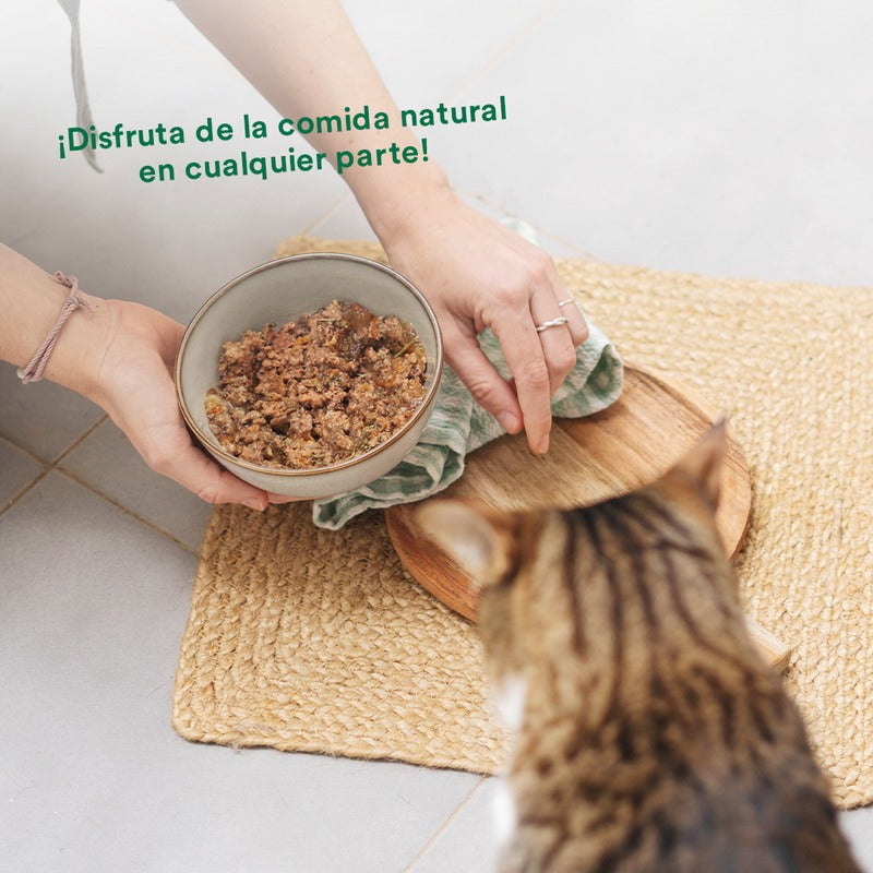 Pack Cerdo y verduras BARF para gatos 6 x 120 g Wild Balance