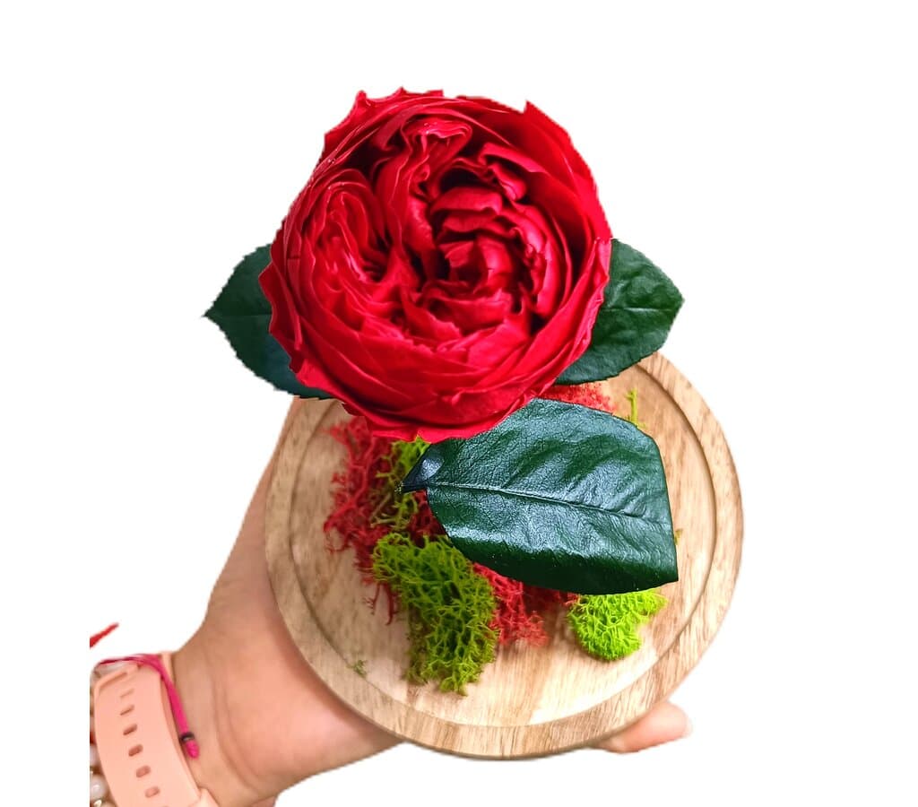 Mundo Eterno Peonía Roja En Cúpula 12x20cm_2