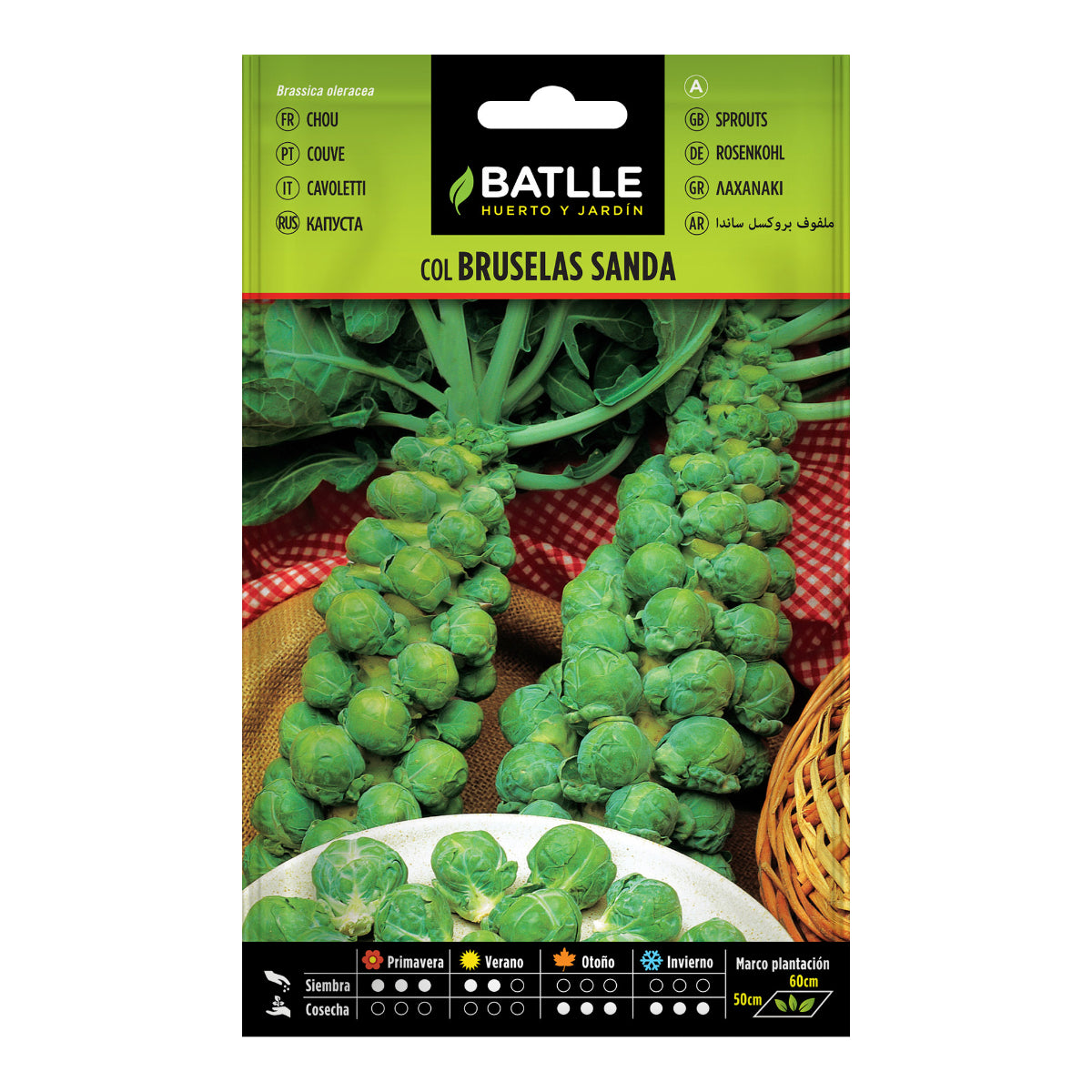 Semillas de Col Bruselas Sanda Batlle