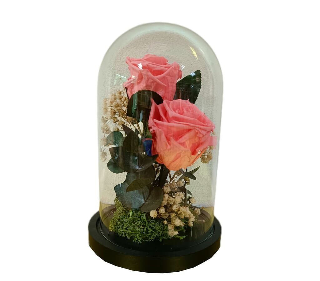 Cúpula 2 Rosas Rosa 12x20cm