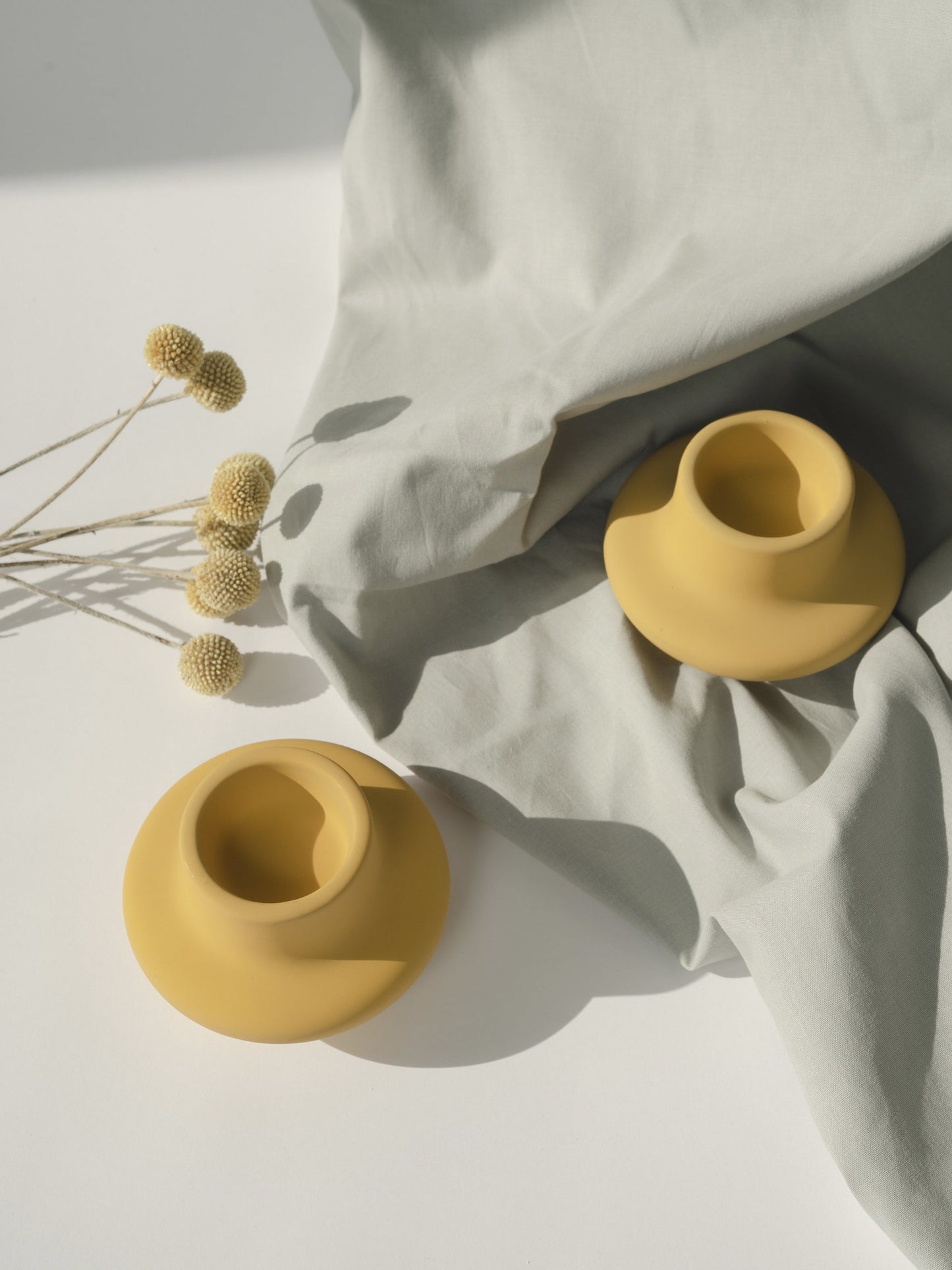 Craspedia Preservada