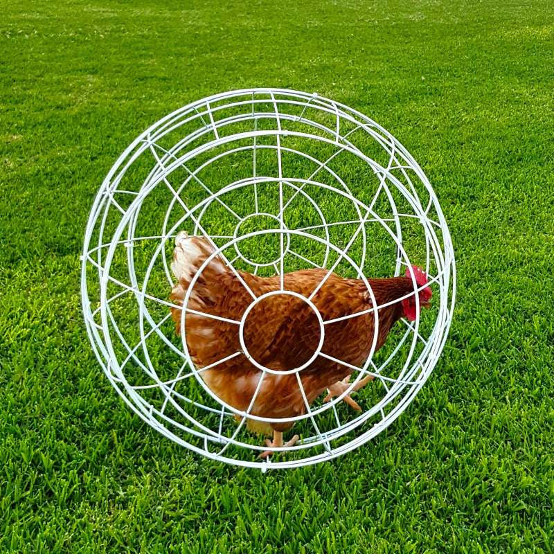 Esfera Para Gallinas Gaun - Ø 55 Cm - Ø 55 Cm_0