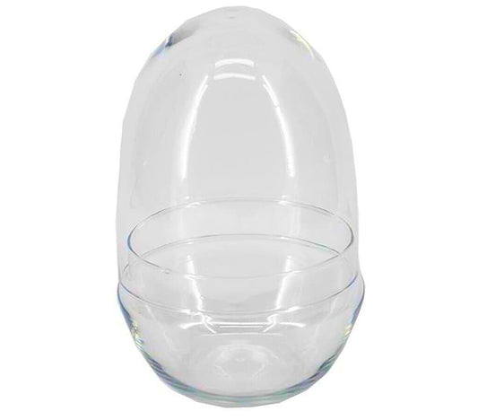 Terrario De Cristal Con Base D10.5/21 H23.5cm Con Tapa De Corcho