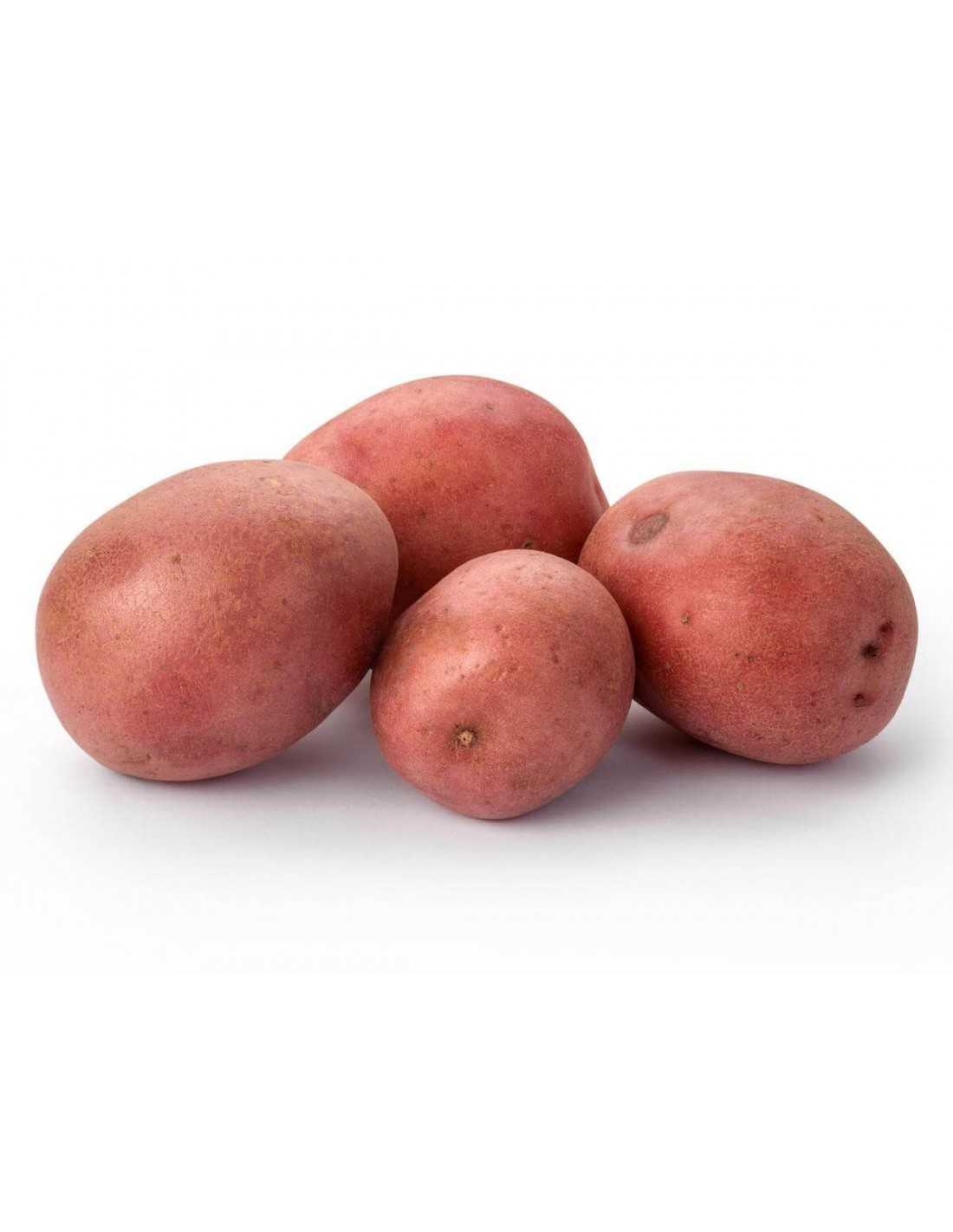 Patata Roja Bio - 1kg_0