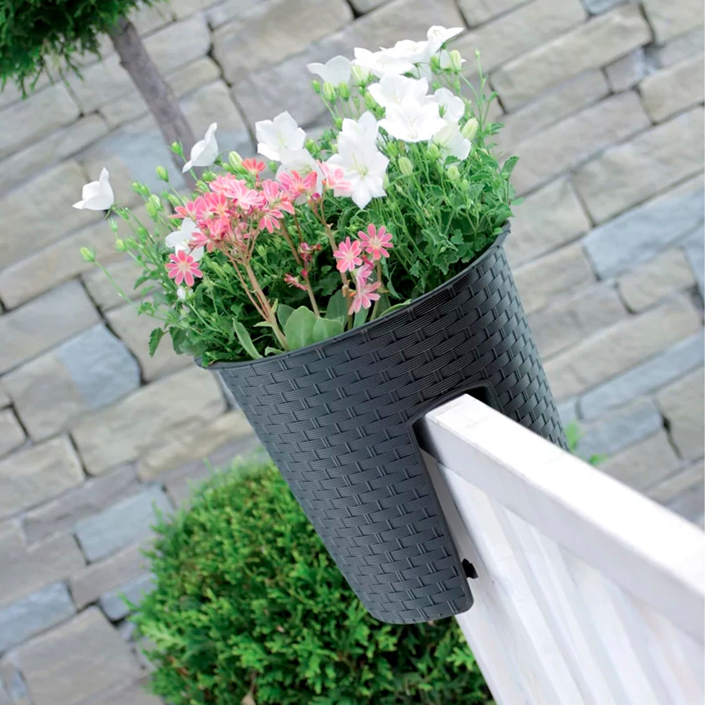 Maceta Ratolla Oval 6l., Dimensiones (mm) 298x242x225, Color Mocca