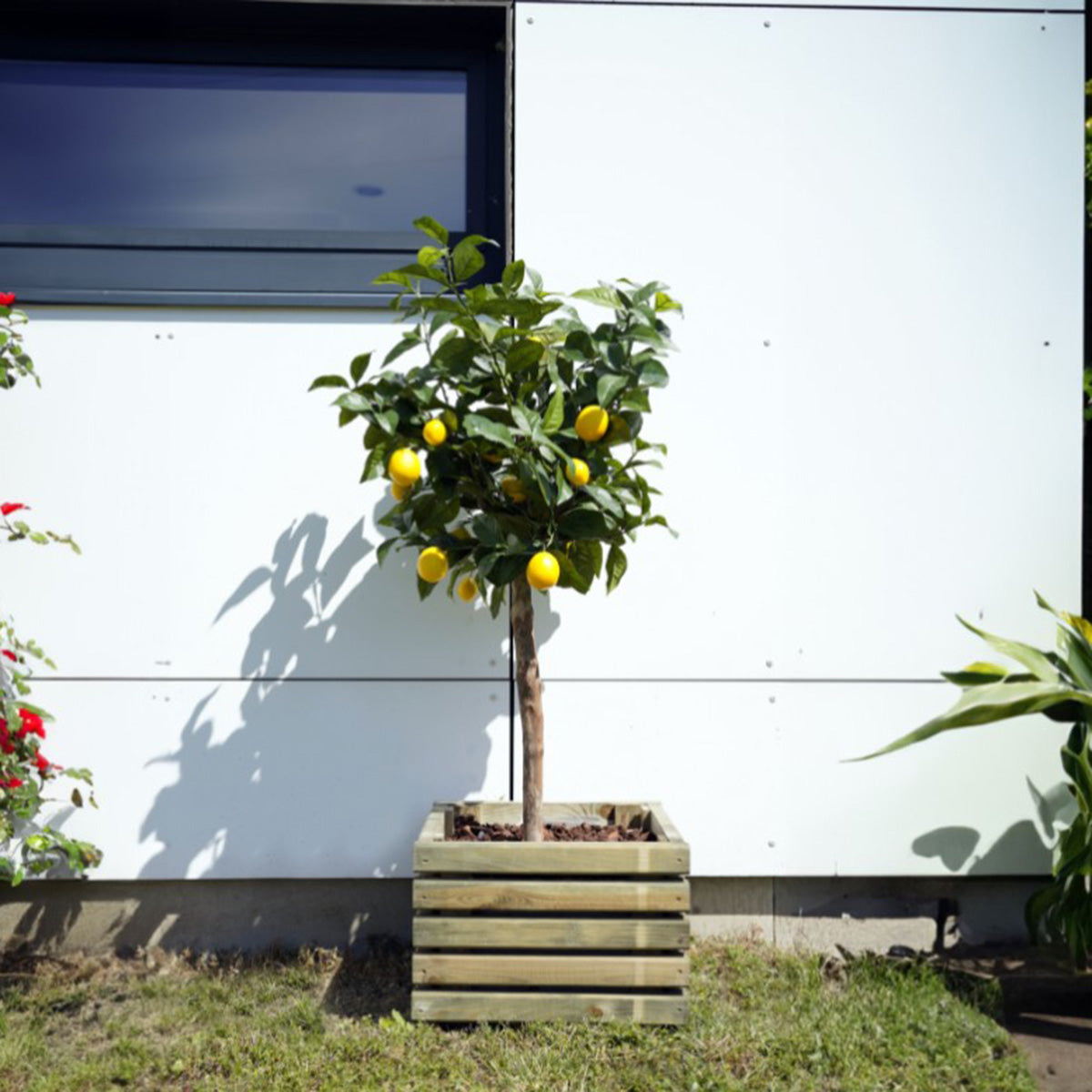 Jardinera de madera cuadrada Kub 40 cm 30 L