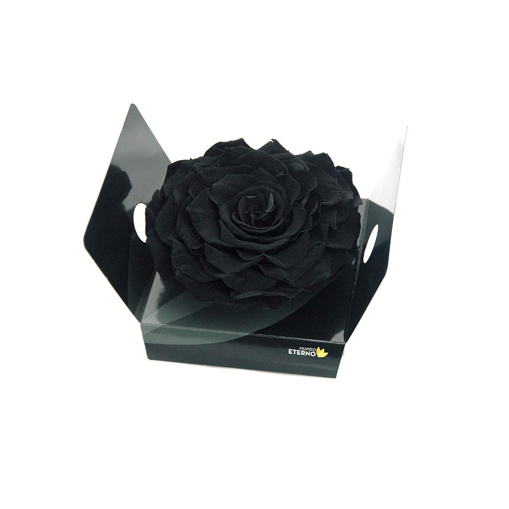 Mundo Eterno Rosmelia Preservada Negra 12cm