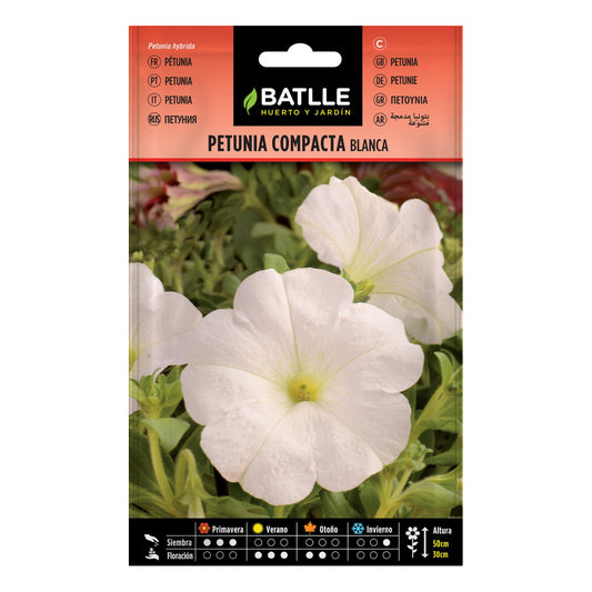 Semillas de Petunia compacta blanca