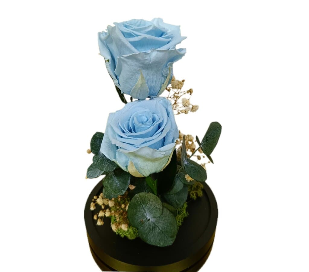 Cúpula 2 Rosas Azul Claro 12x20cm_1