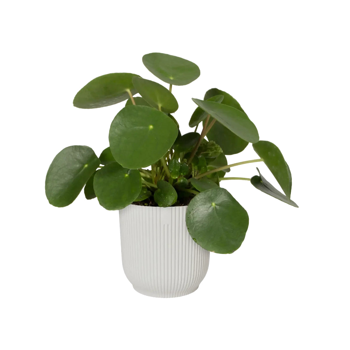 Macetero vibes fold round silky white Elho 18 cm