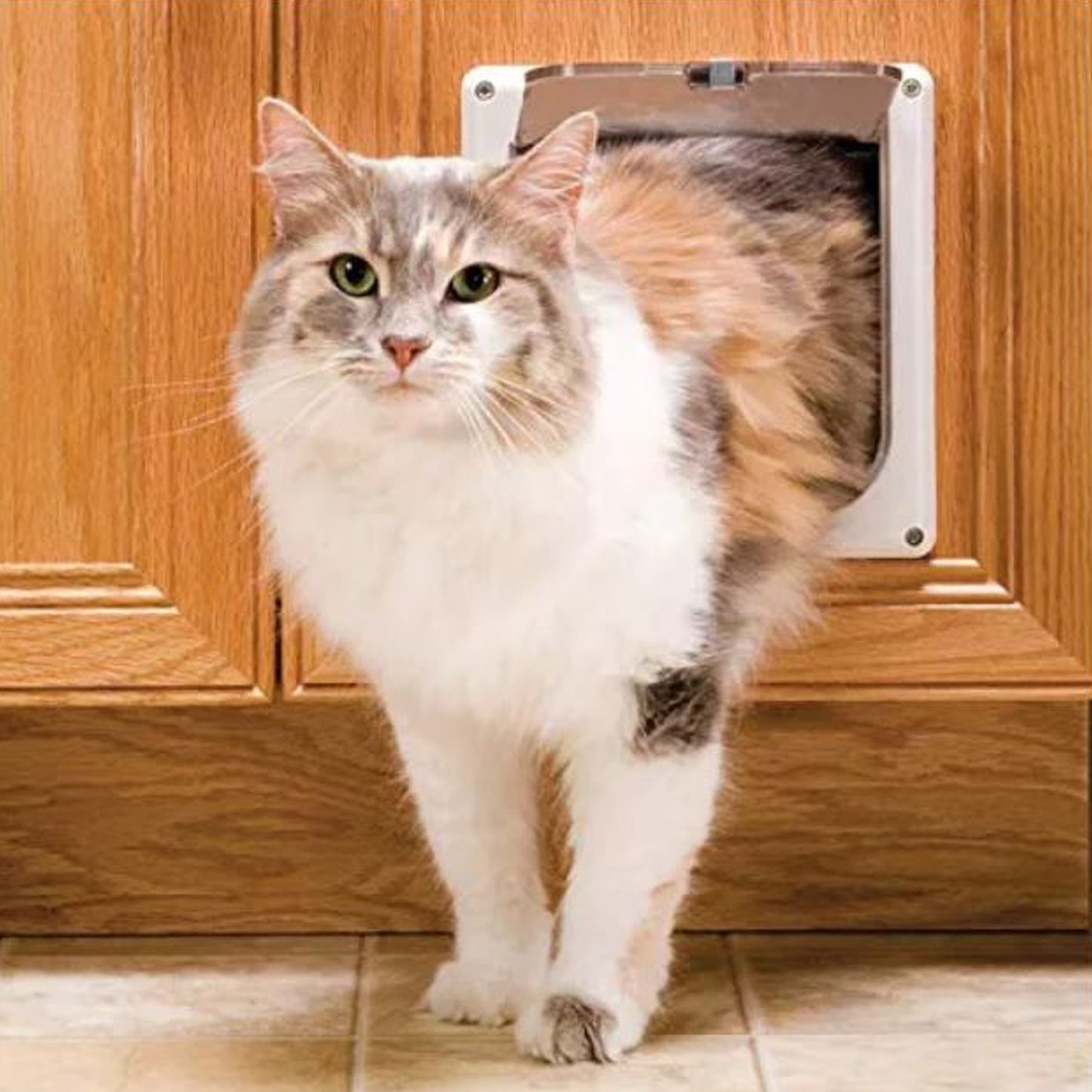 Puerta Para Mascotas 19,2x20x5,3cm Color Blanco - Well Home