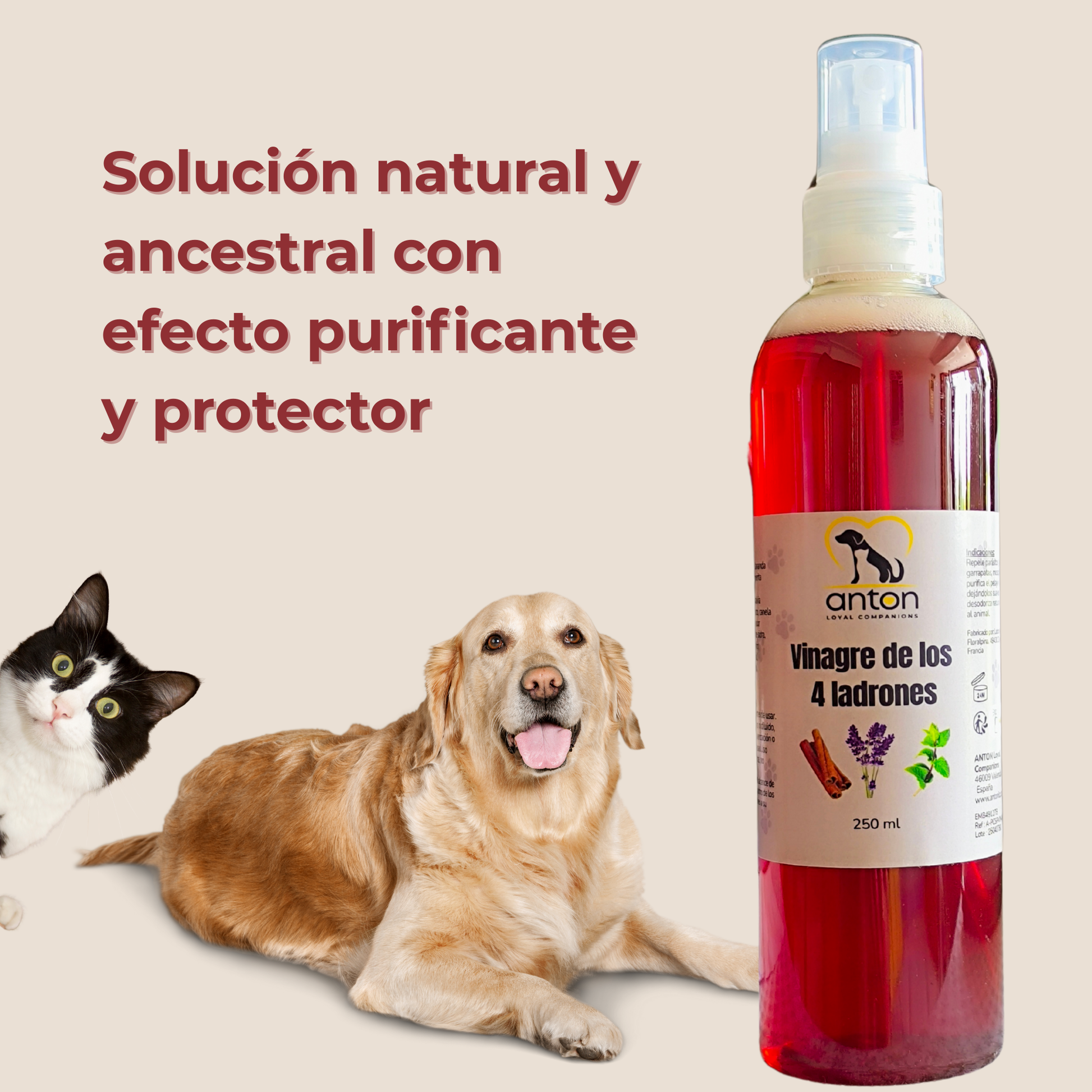 Vinagre de los 4 Ladrones para Perros y Gatos – 250ml