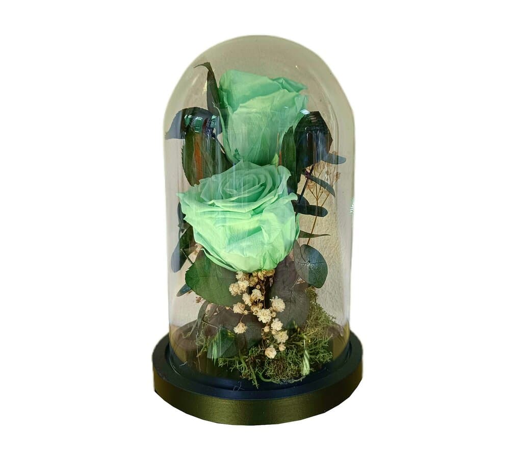 Cúpula 2 Rosas Verde Menta 12x20cm