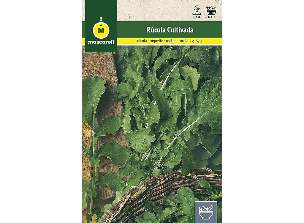 Semillas Rúcula Cultivada_0