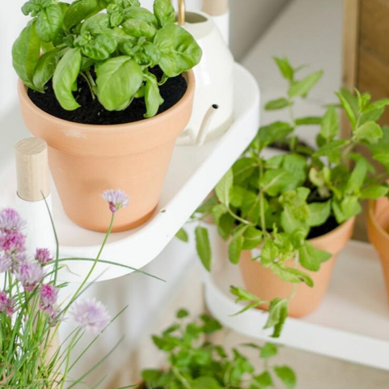 Kit Huerto En Casa Citysens: Soporte Para Macetas Blanco + Macetas + Sustrato + Semillas + Guía De Cultivo