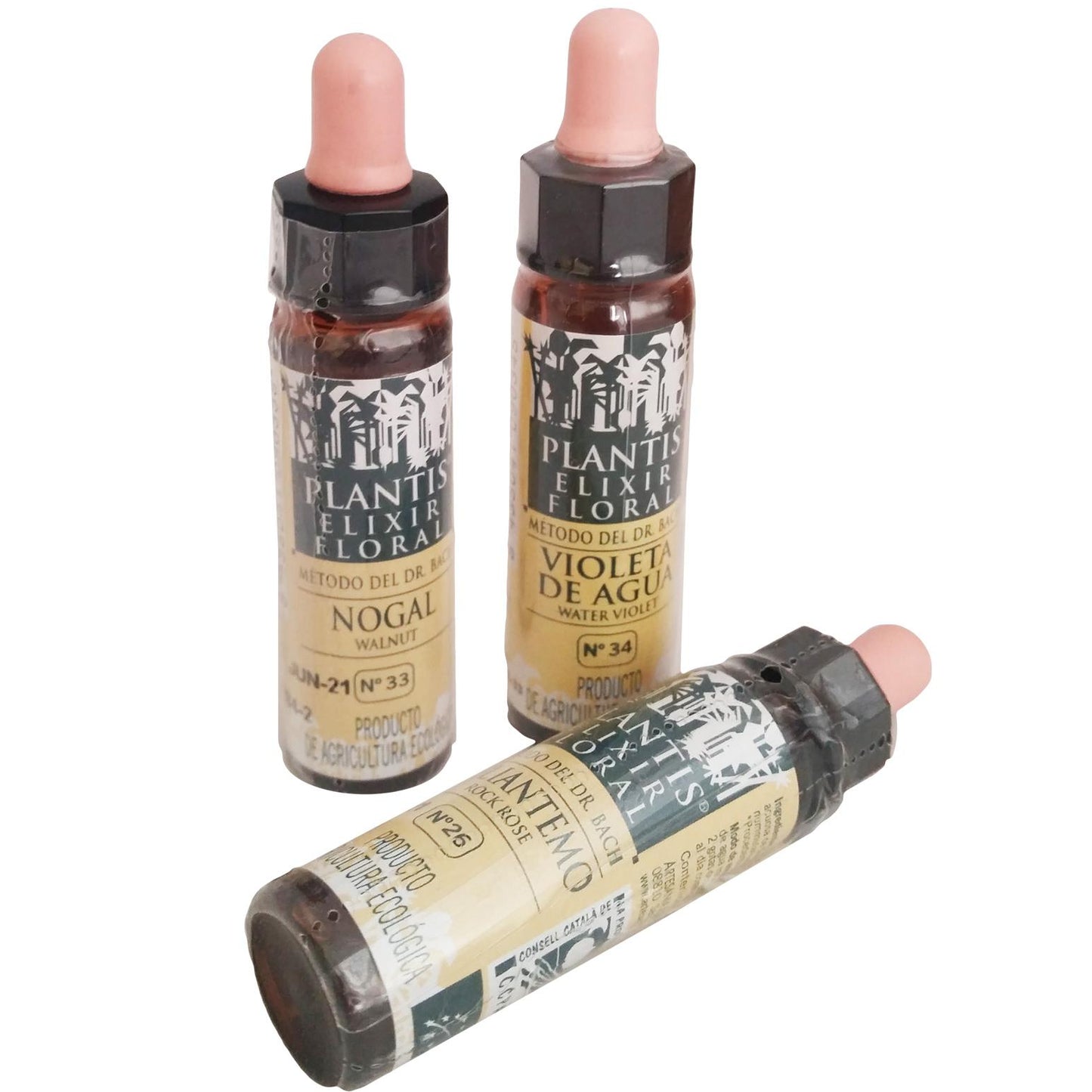 Plantis 38 Sauce 10 Ml Eco Artesania