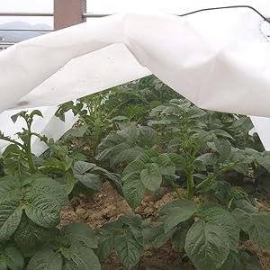 Túnel de cultivo antiheladas 3 m Biotop