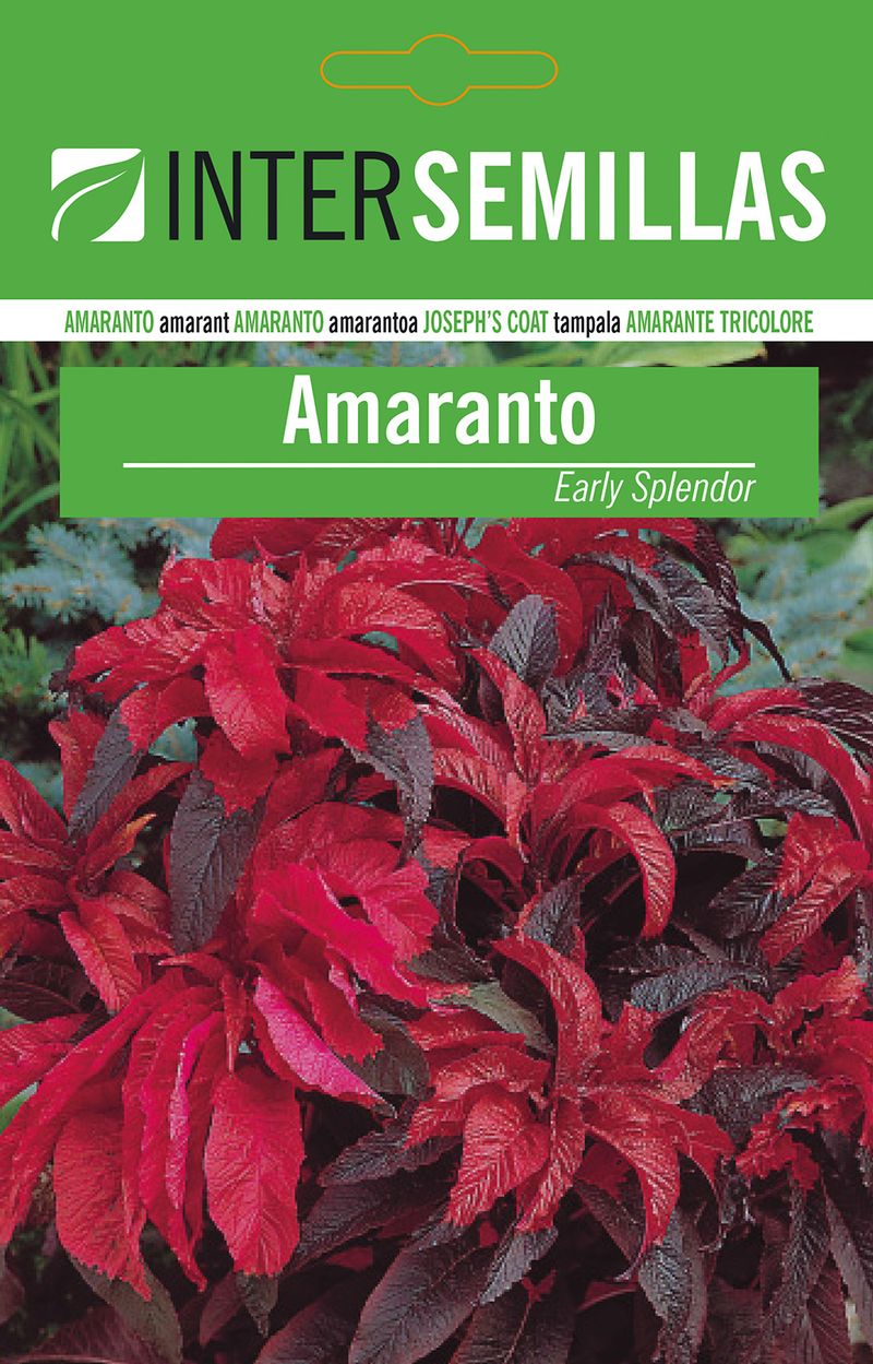 Sobre De Semillas De Amaranto_0