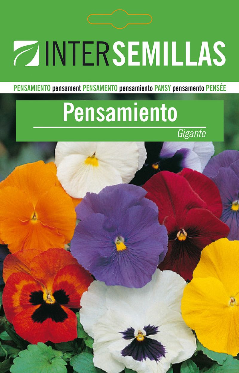 Sobre De Semillas De Pensamiento