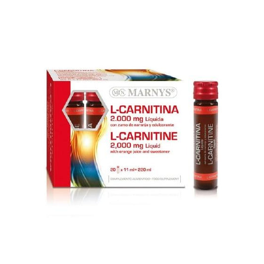 L-Carnitina Líquida 2000 mg – Marnys