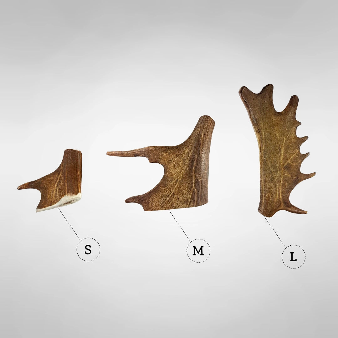 Mordedor De Asta De Gamo Para Perro_1