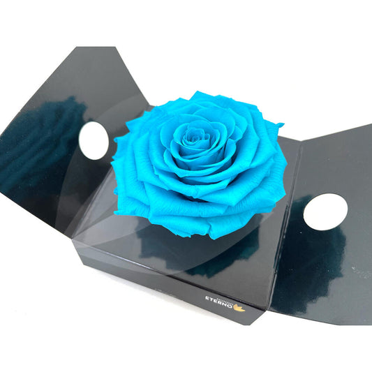 Mundo Eterno Rosmelia Preservada Azul Claro 12cm