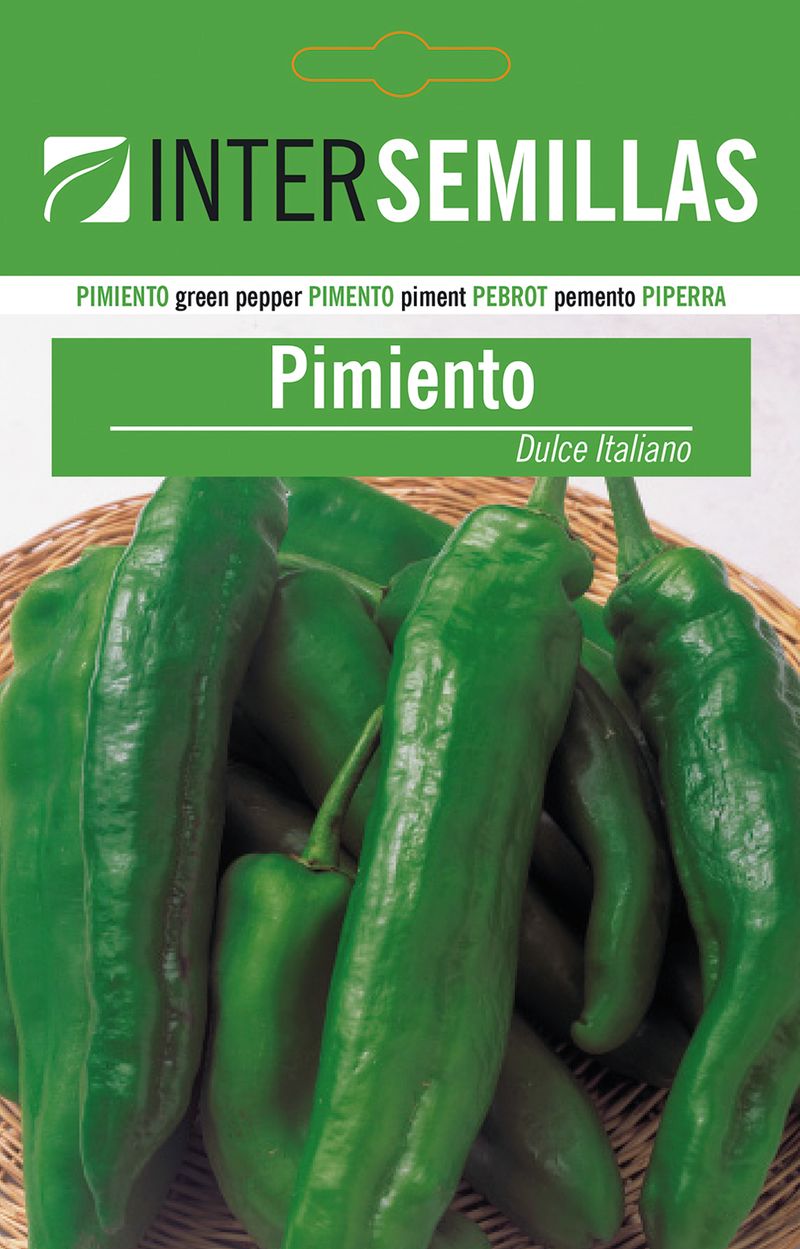 Sobre De Semillas Pimiento Dulce Italiano