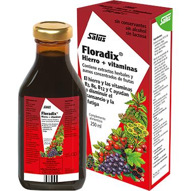 Floradix jarabe hierro Salus 250 ml