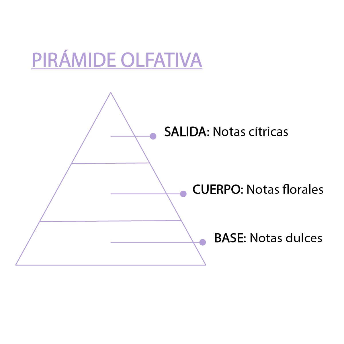 Esencia Natural White Musk SYS Aromas 12 ml | Aroma Floral y Fresco | Para Quemadores y Humidificadores_3