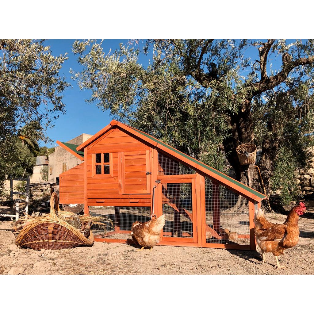 Gallinero madera Amsterdam