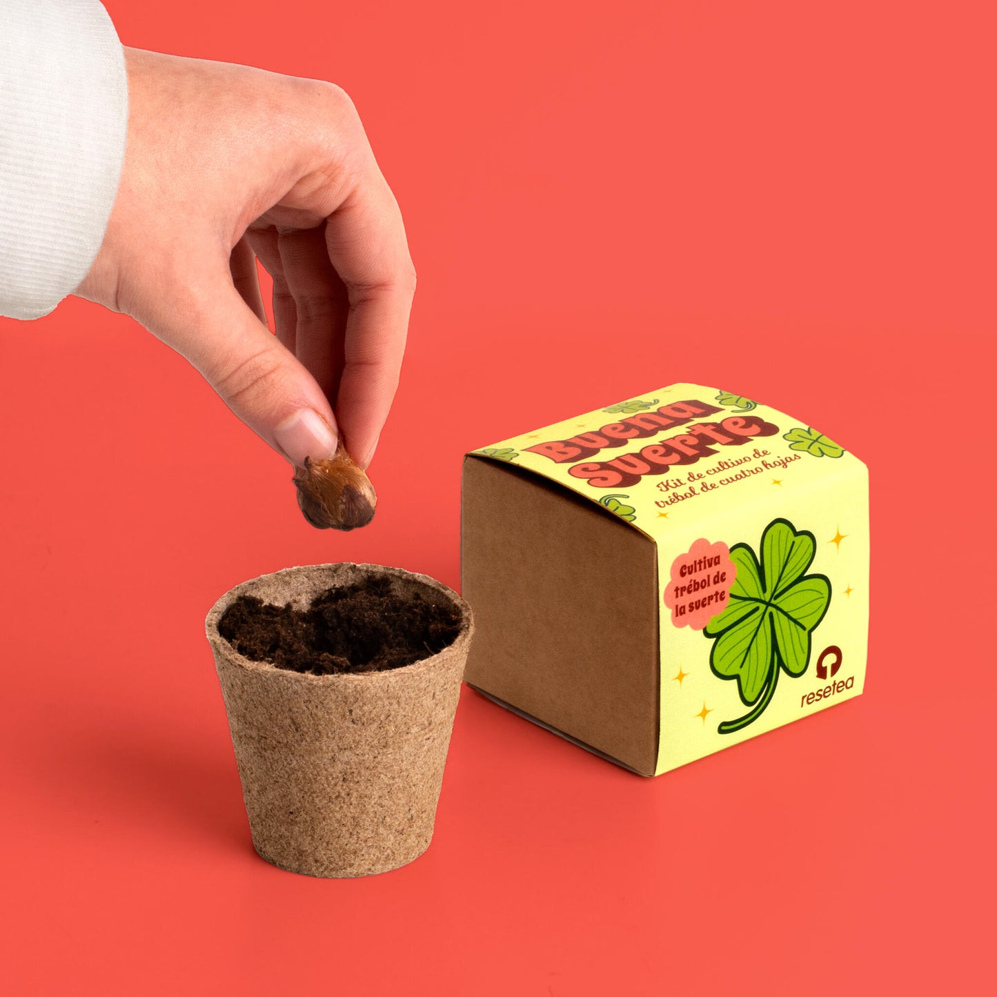 Buena Suerte | Kit Cultivo Trébol De 4 Hojas | Cultiva Tu Amuleto Natural En Casa | Regalo Original_4