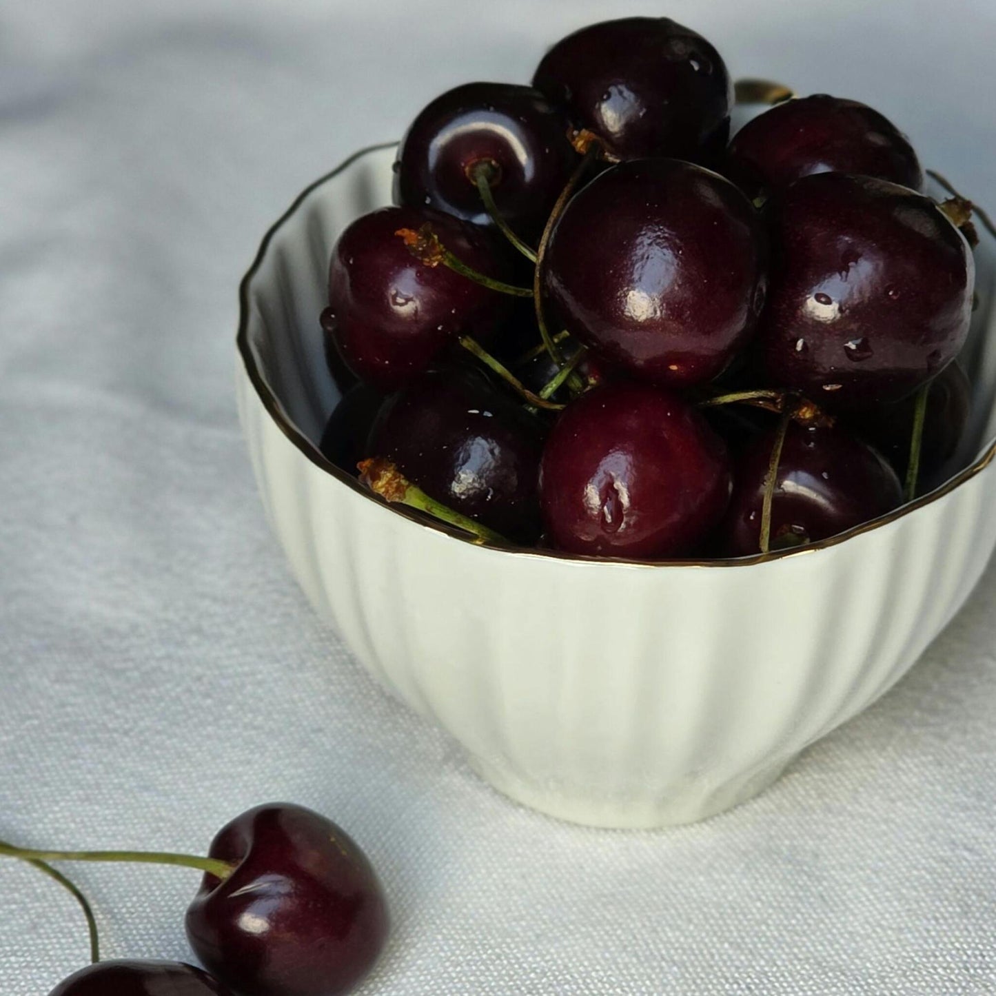 Cerezo - Prunus Avium - Cereza Dulce - Altura 90-110cm - ⌀23cm_4