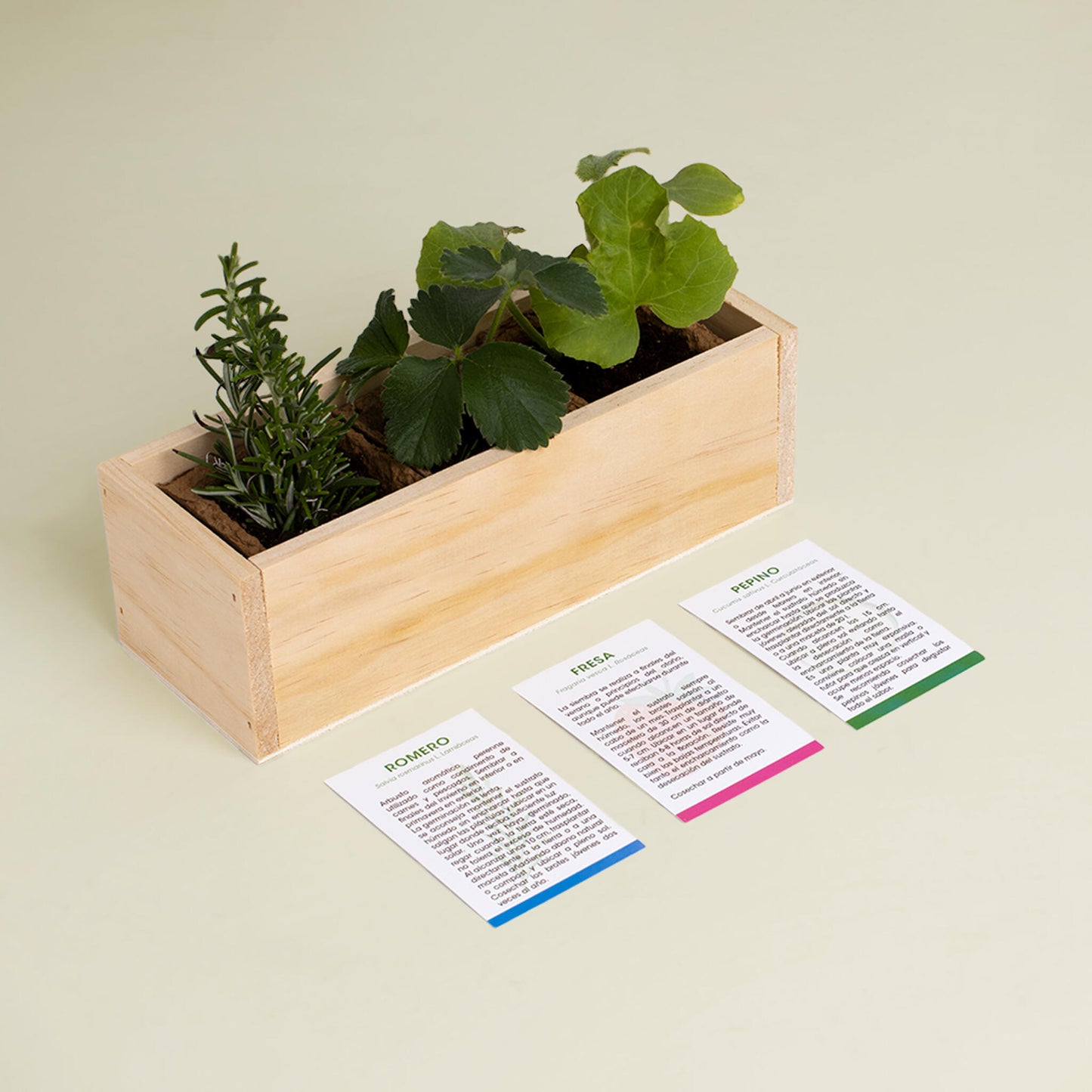 Kit Autocultivo Gin Tonic | Cultiva Romero, Fresa Y Pepino En Casa | Regalo Original Para Amantes De Los Cócteles_3