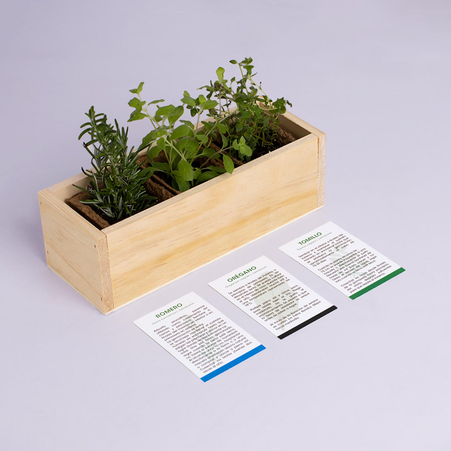 Kit Autocultivo Provenzal | Cultiva Romero, Orégano Y Tomillo En Casa | Aromáticas Mediterráneas_3