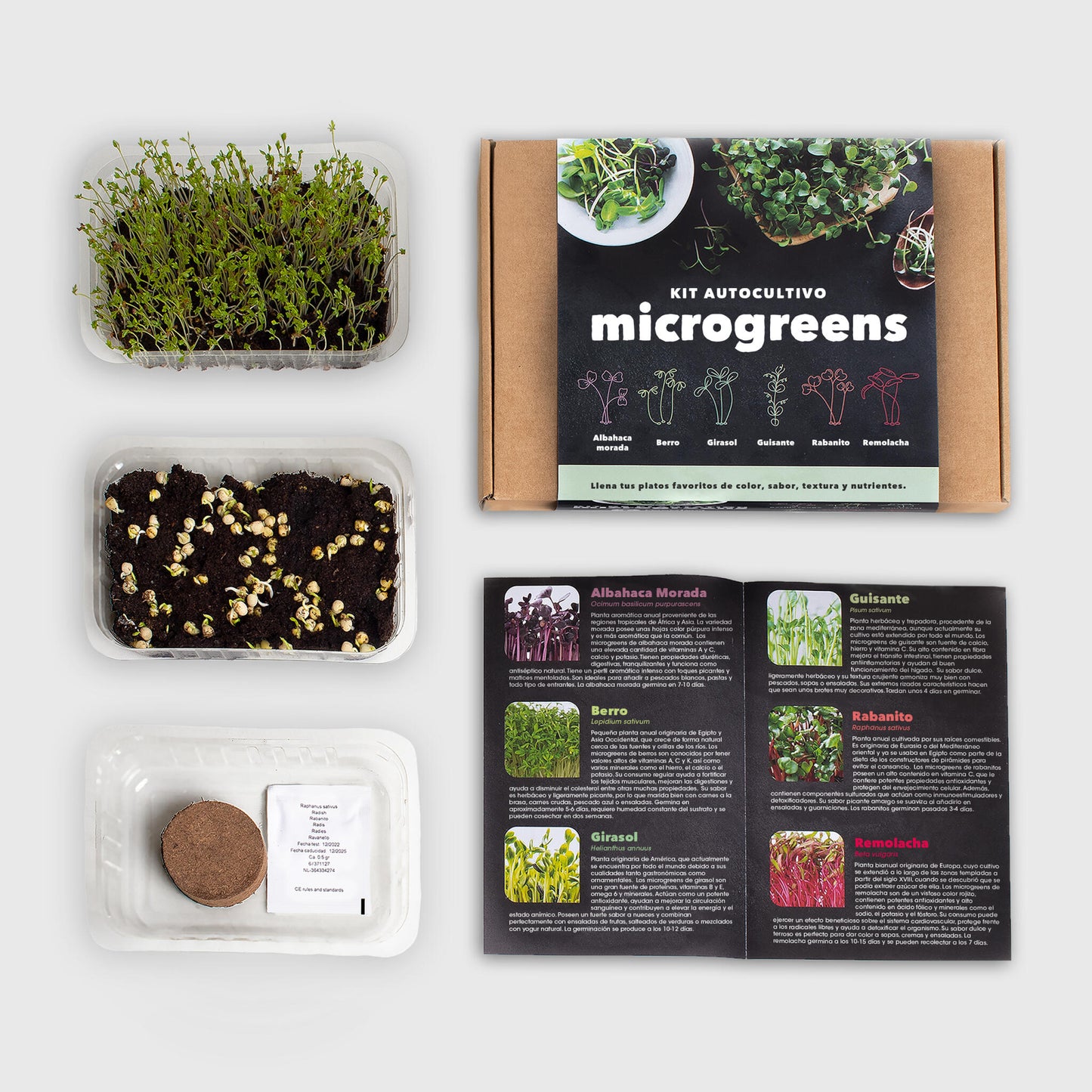 Kit Cultivo Microgreens | Albahaca Morada, Berro, Girasol, Guisante, Rabanito Y Remolacha En Casa_2