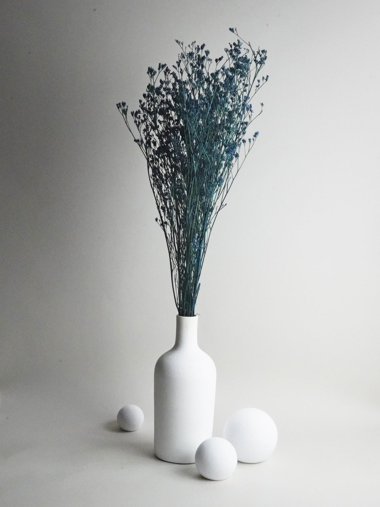 Limonium Preservado_1