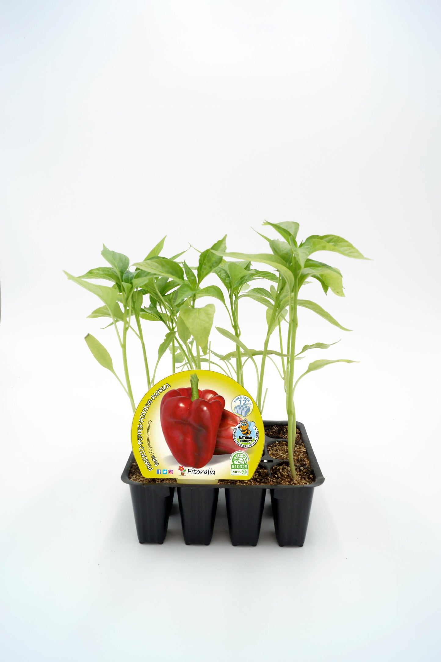 Pack Plantones Pimiento Rojo 12 Ud. Natural - Fitoralia_0