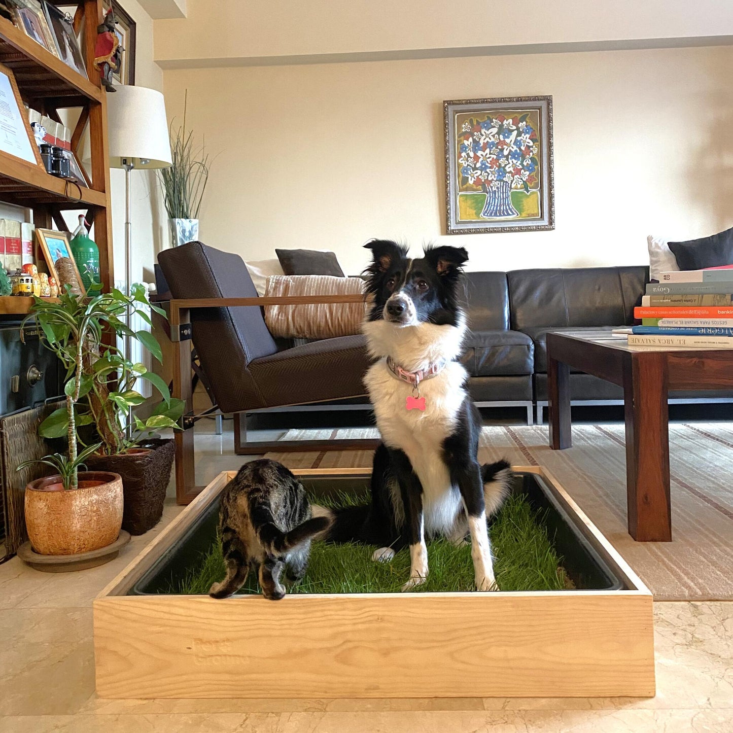 Petground, Cama Para Perros, Caja De Madera, Accesorio, Mueble, Xxl_5