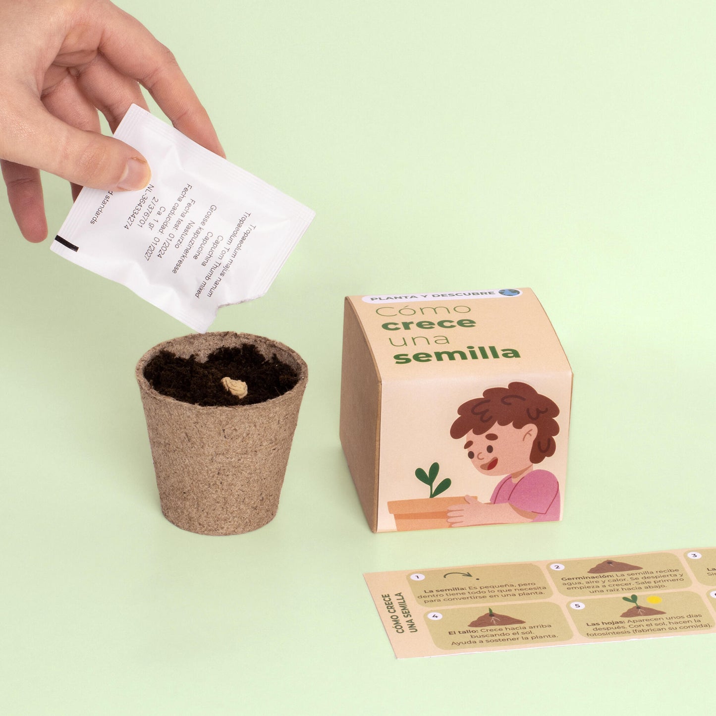Planta Y Descubre | Kit Germinación Para Niños | Aprende Cómo Crece Una Semilla Paso A Paso (stem)_4