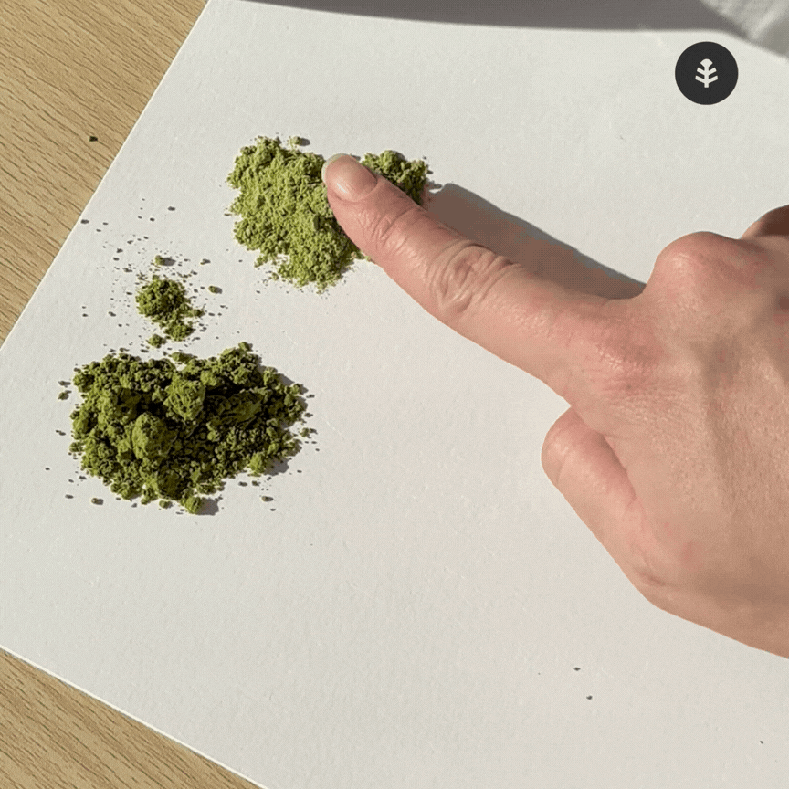 Té Matcha Grado Ceremonial Premium Planeta Huerto 200 g