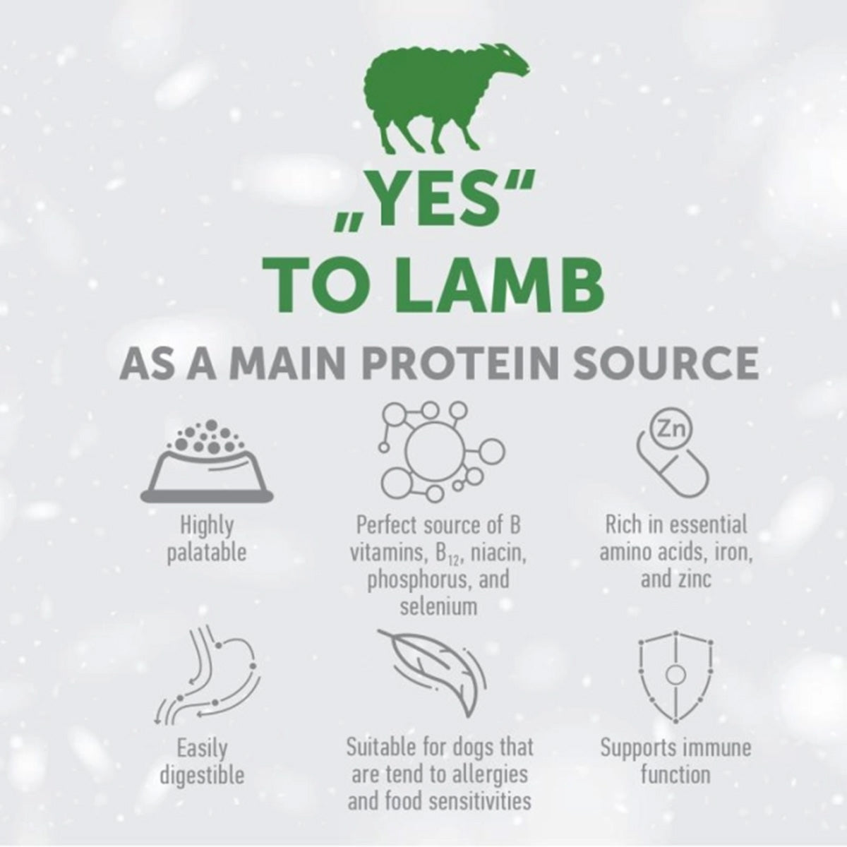 Pienso perros con piel y estómago sensibles con cordero 1,5 kg Nature's Protection