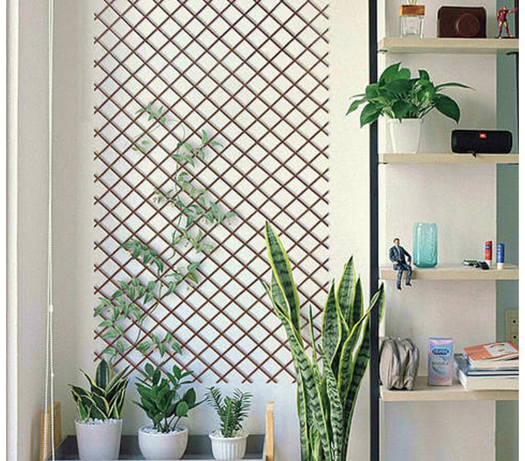 Celosía Bambú Extensible 1x2m