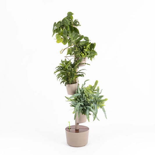 Huerto Vertical De Interior Citysens; Color Corteza De Pino; 4 Macetas; Incluye Kit De Semillas De Plantas Aromáticas