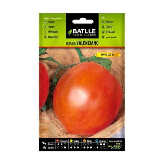Semillas de Tomate Valenciano Batlle
