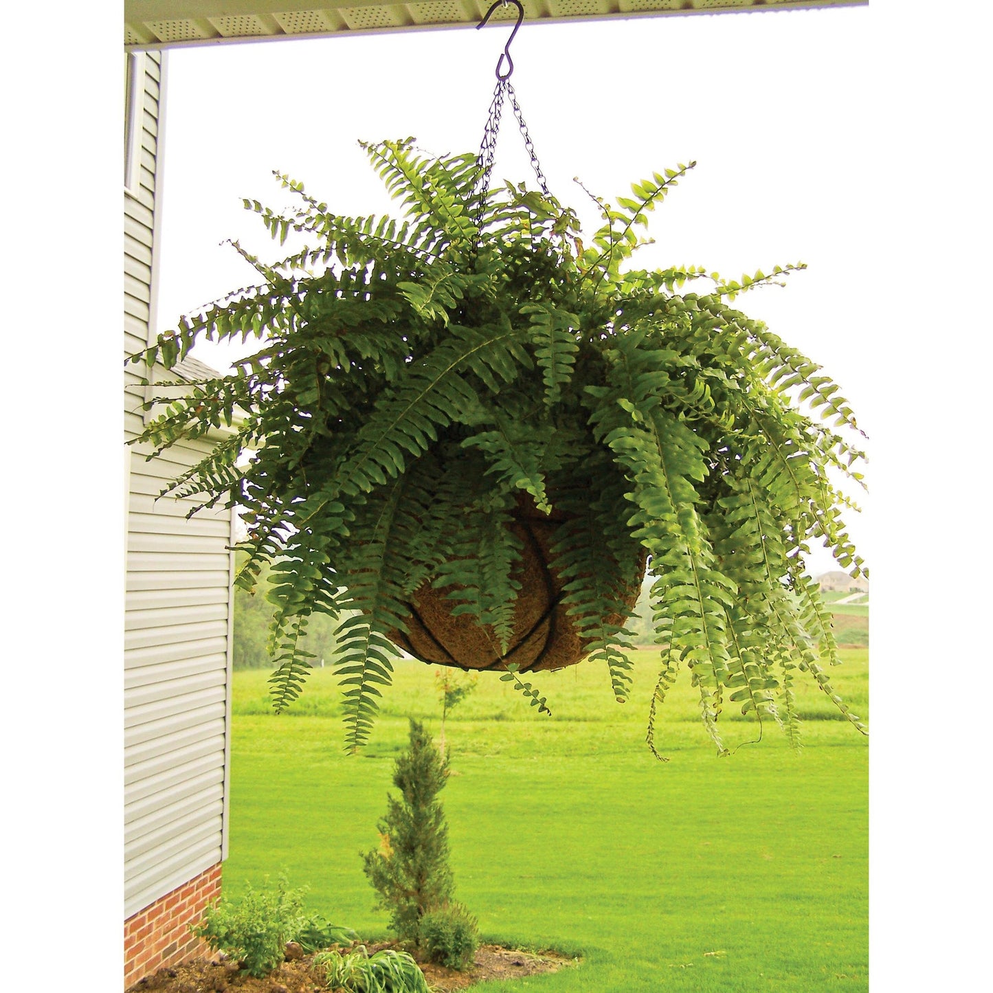 Cesto colgante redondo Ø40 cm