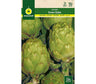Semilla Alcachofa Verde Globo