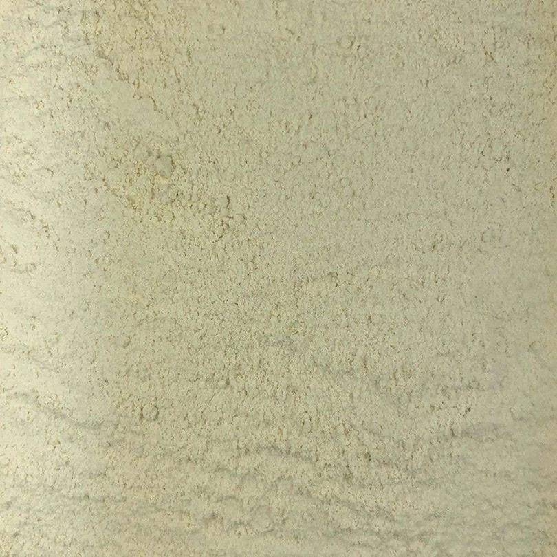 Ajo En Polvo Ecológico Granel 0,5 Kg_0