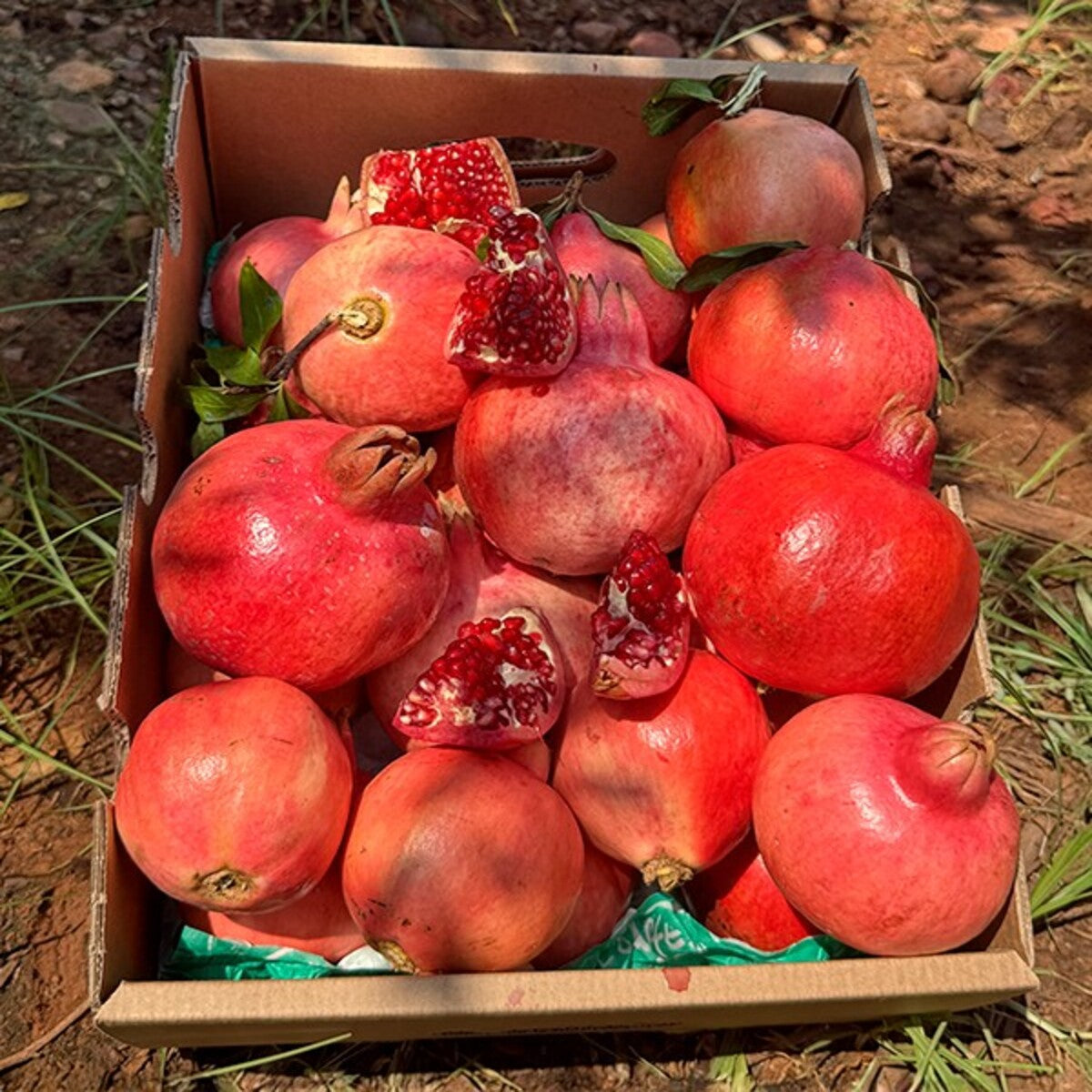 Granada Fruta Fresca directa del campo - Caja 4kg